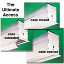 ultimate access